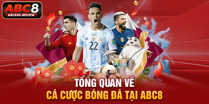 tong-quan-ve-ca-cuoc-bong-da-tai-abc8