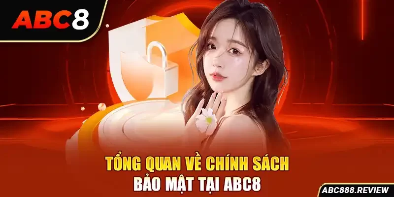 tong-quan-ve-chinh-sach-bao-mat-tai-abc8